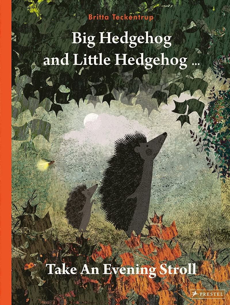 BIG HEDGEHOG AND LITTLE HEDGEHOG BOOK