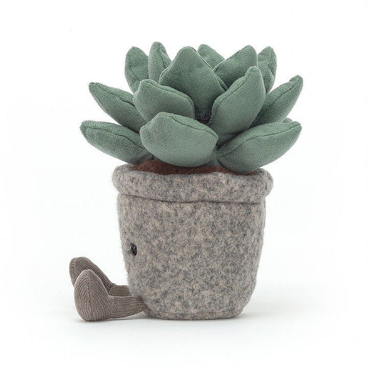 SILLY SUCCULENT AZULITA