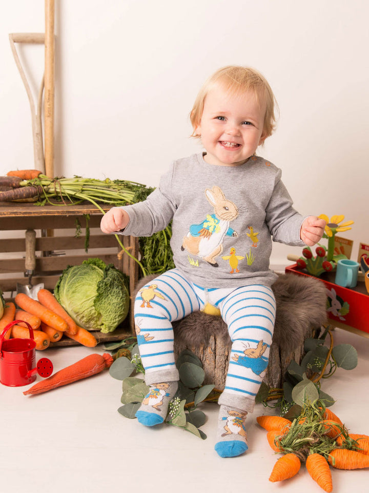 PETER RABBIT VEG PATCH TOP
